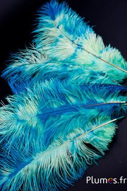Autruche - 30-40 cm - turquoise-jaune